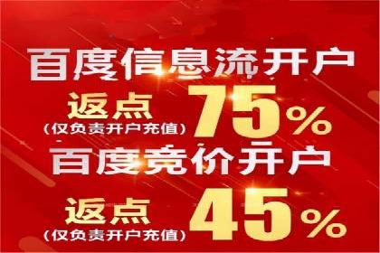 百度竞价公司成功案例：如何实现ROI最大化